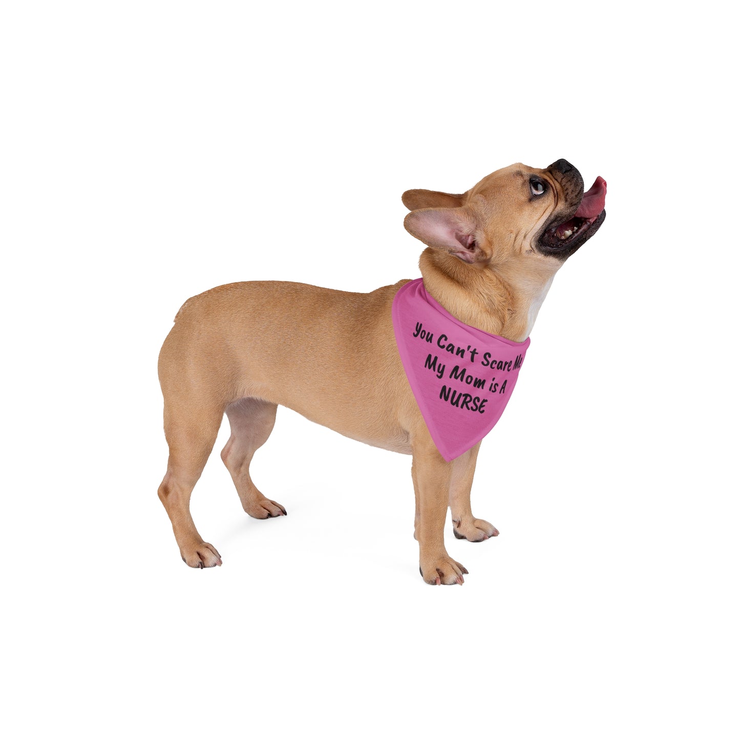 You Can't Scare Me - My Mom is a Nurse Pet Bandana