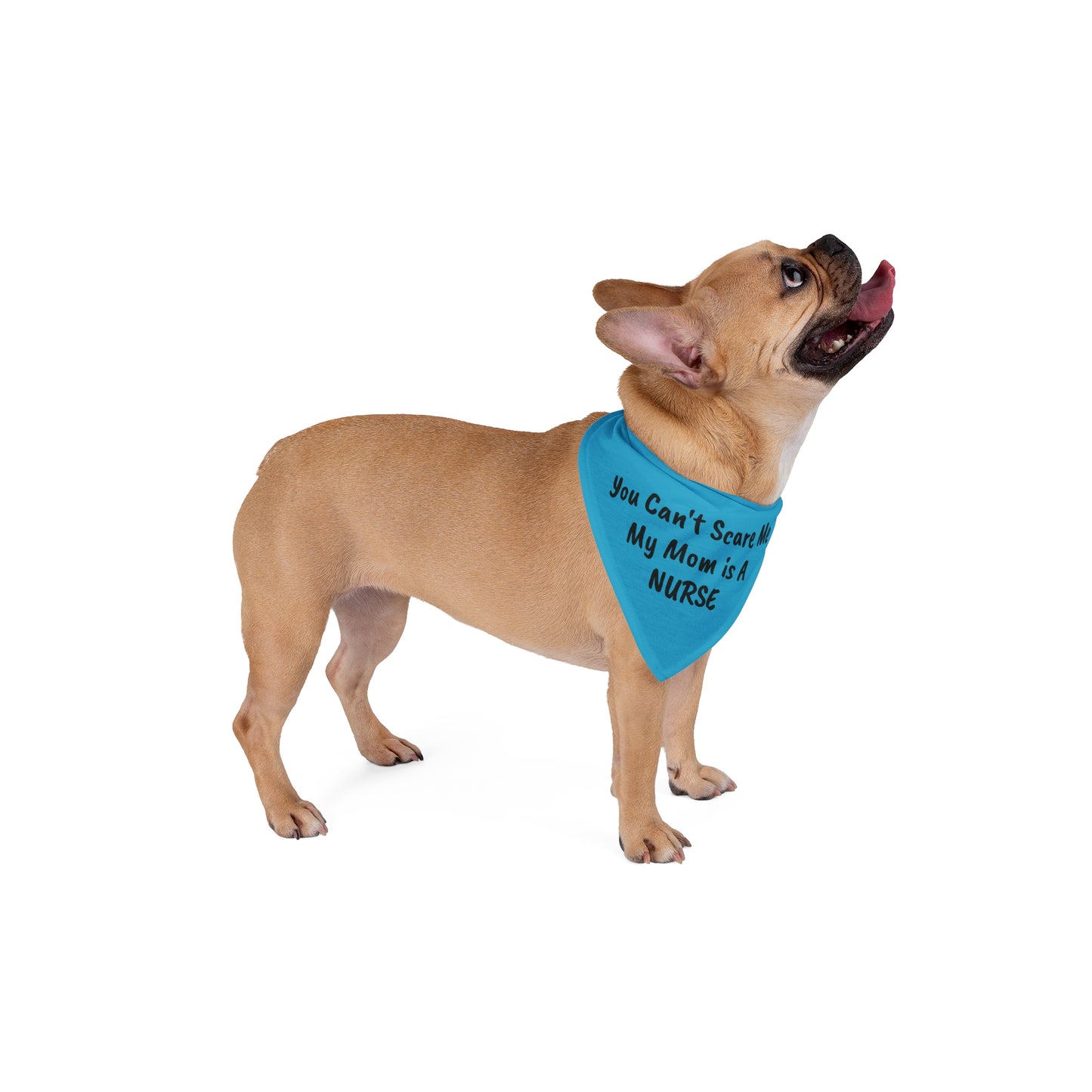 You Can't Scare Me - My Mom is a Nurse Pet Bandana